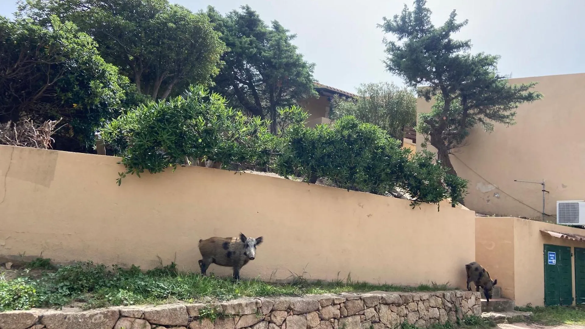 Σπίτι διακοπών Casa Da Iulia Usselmann Βίλα Costa Paradiso